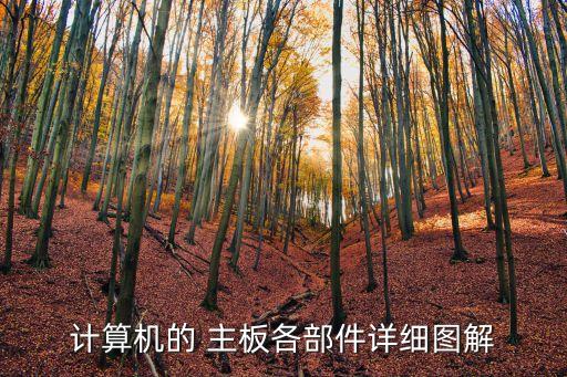 主板如何稱呼電腦配件店...